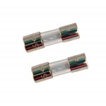 Radion XR30w 5A replacement fuse (2 pack)