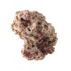 Moani Dry Life Rock