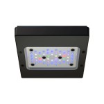 Radion XR15w G6 Pro