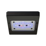 Radion XR15w G6 Blue