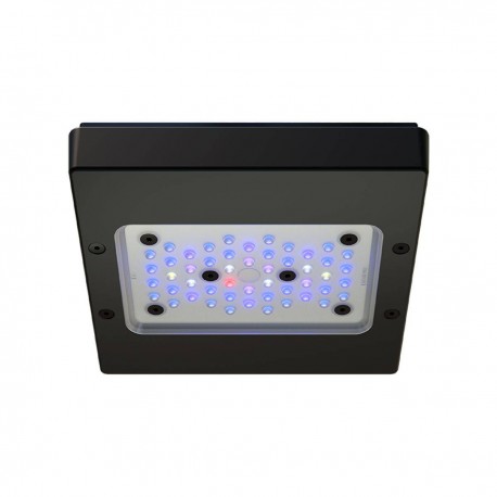 Radion XR15w G6 Blue