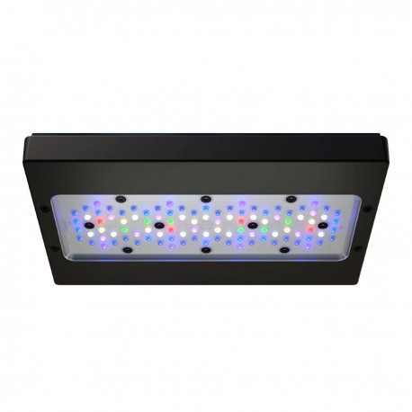 Radion XR30w G6 Pro