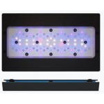 Radion XR30w G6 Blue