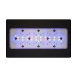 Radion XR30w G6 Blue