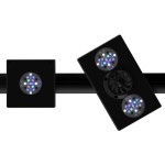 RMS Double Arm